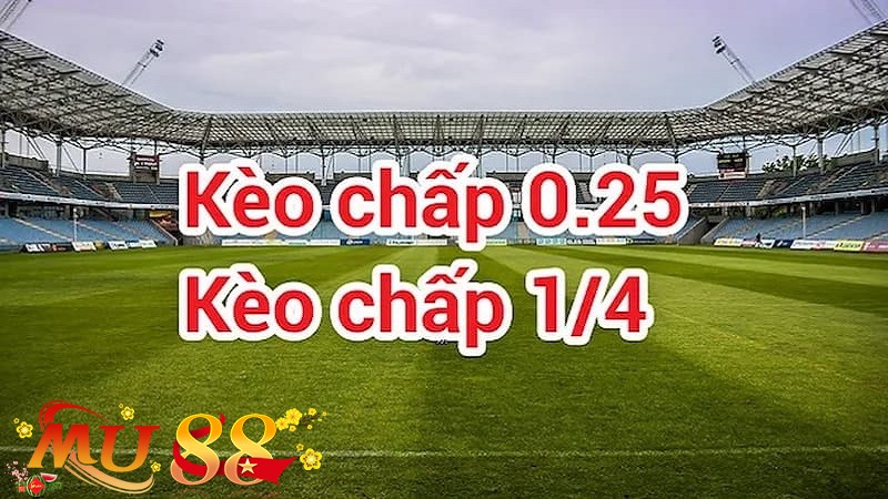 Tỷ lệ kèo chấp 0.25 trái